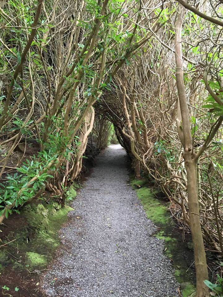Carrig Country House & Restaurant キローグリン 設備 写真